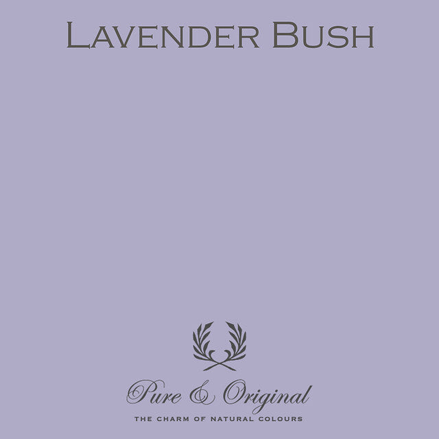 Lavender Bush Classico