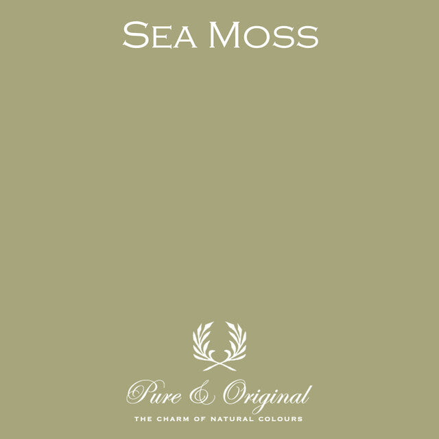 Sea Moss Carazzo