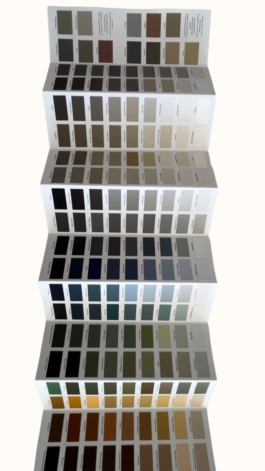Color Brochure