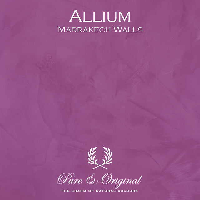 Allium Marrakech Walls