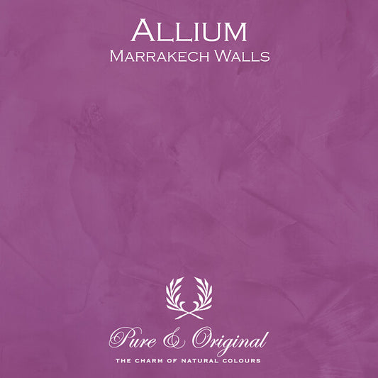 Allium Marrakech Walls