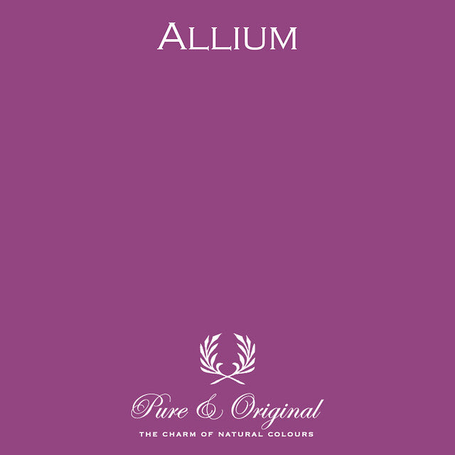 Allium Classico
