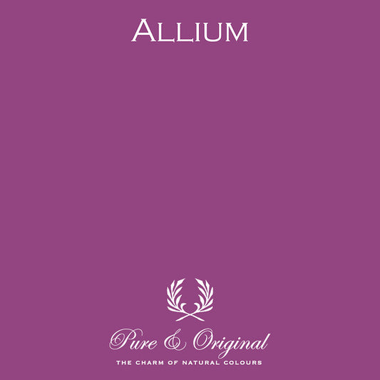 Allium Licetto