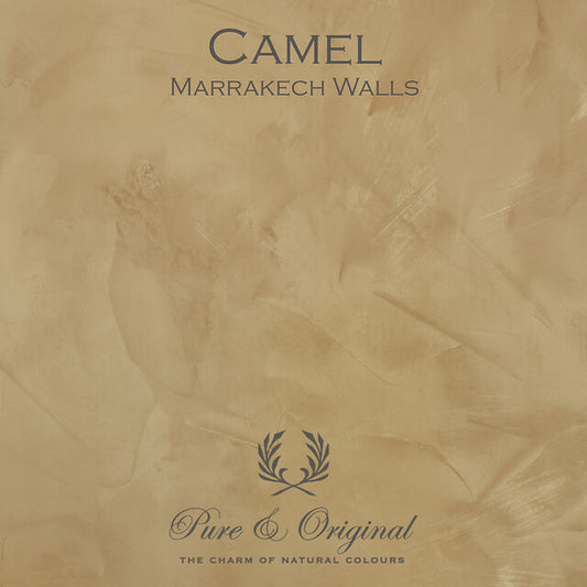 Camel Marrakech Walls