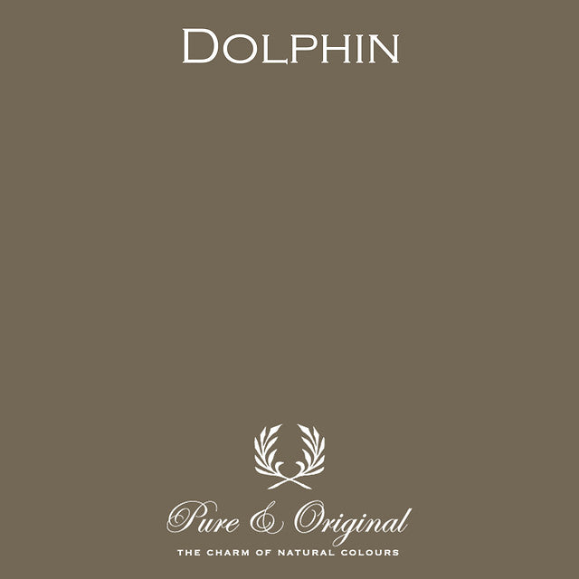 Dolphin Classico