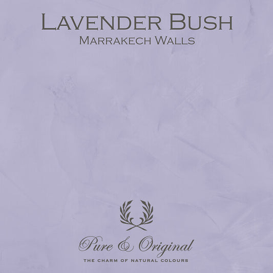 Lavender Bush Marrakech Walls