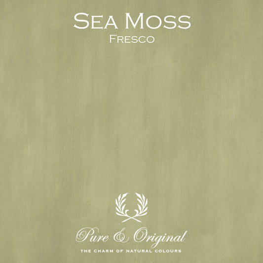 Sea Moss Fresco