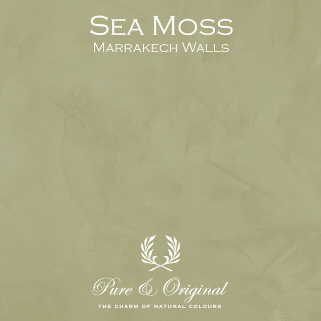Sea Moss Marrakech Walls