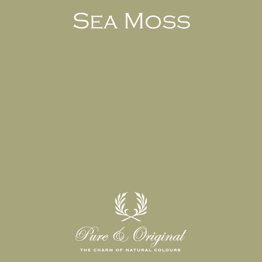 Sea Moss Licetto
