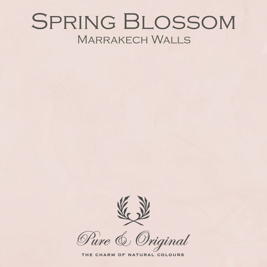 Spring Blossom Marrakech Walls