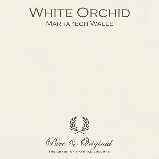 White Orchid Marrakech Walls